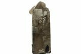 Smoky Quartz Crystal Cluster on Metal Stand - Brazil #219126-1